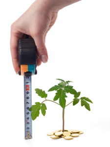 Measuring profitability in a tea store Measuring profitability