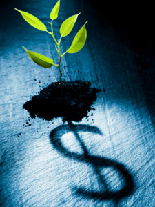 Measuring the value of a tea