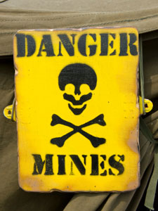The real estate minefield Real estate minefield
