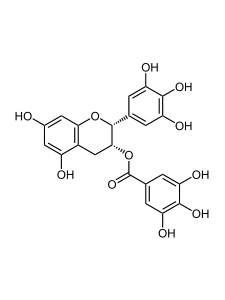 EGCG - the miracle antioxidant