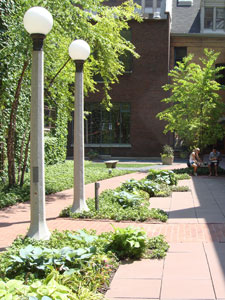Private courtyard