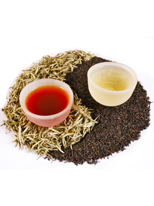 Press Release: Adagio Plans Expansion Into Retail Loose Leaf Tea