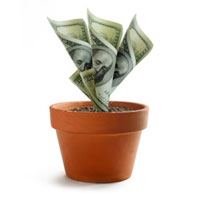 The Adagio Money Tree
