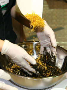 Hands on tea training